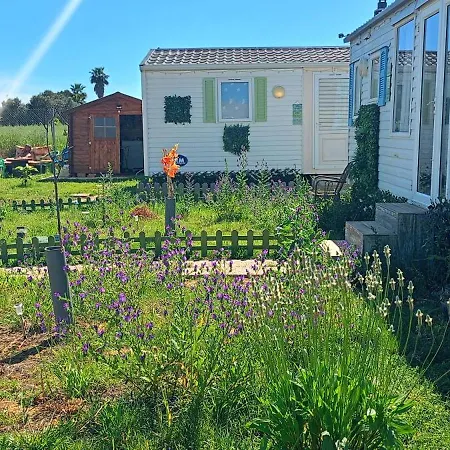 Vakantiehuis Vacaciones En Novo Sancti Petri *